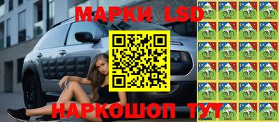 стафф Партизанск