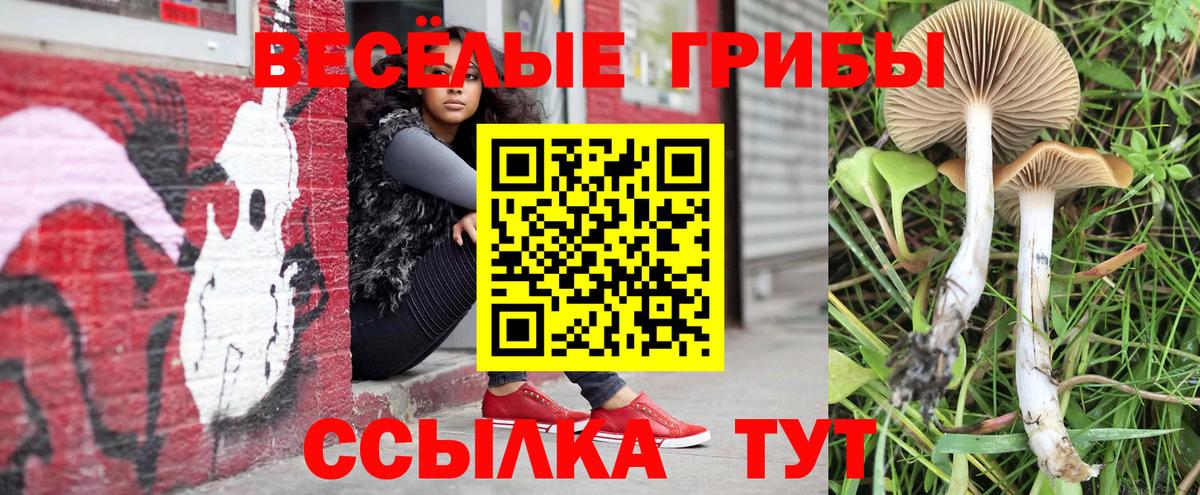 Советский  Галлюциногенные грибы MAGIC MUSHROOMS  Галлюциногенные грибы MAGIC MUSHROOMS  Вход с VPN 